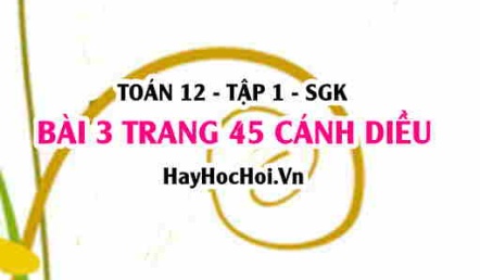 Bài 3 trang 45 Toán 12 tập 1 Cánh Diều